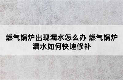 燃气锅炉出现漏水怎么办 燃气锅炉漏水如何快速修补